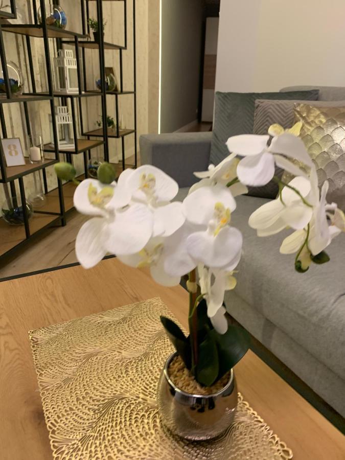 Moderno Apartament Krasków Eksteriør bilde